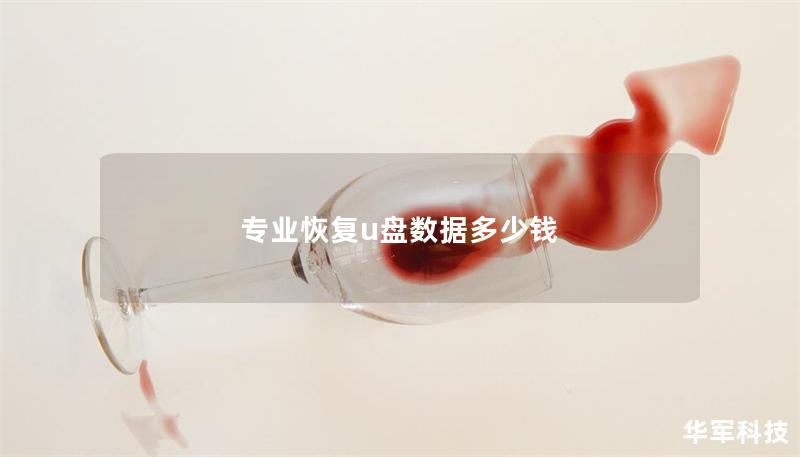 专业恢复u盘数据多少钱