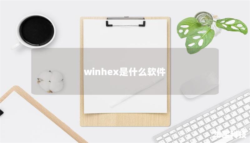 winhex是什么软件