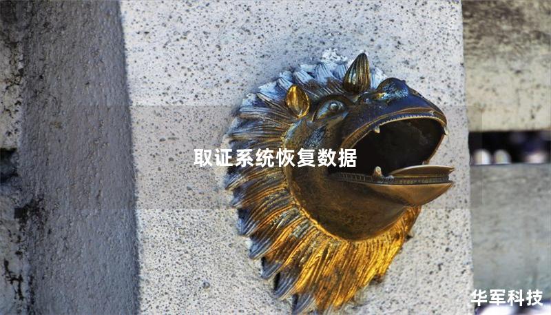 取证系统恢复数据