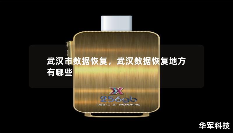 武汉市数据恢复，武汉数据恢复地方有哪些