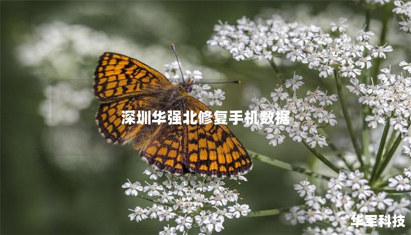 深圳华强北修复手机数据 深圳华强北修复手机数据