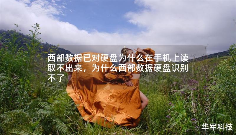 西部数据已对硬盘为什么在手机上读取不出来，为什么西部数据硬盘识别不了