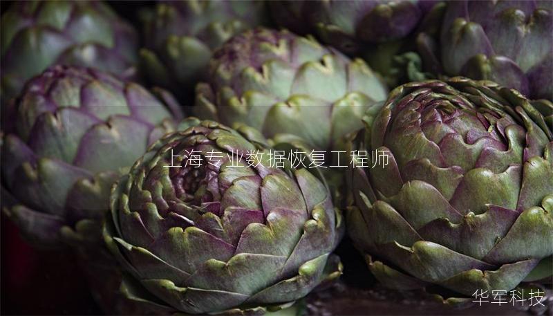上海专业数据恢复工程师