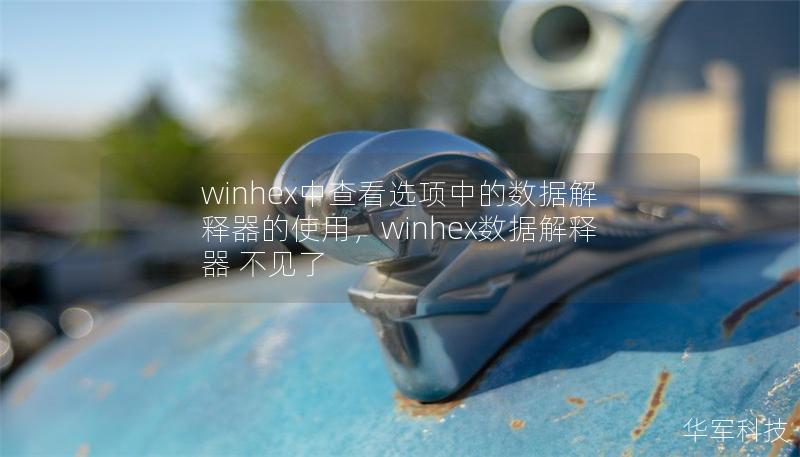 winhex中查看选项中的数据解释器的使用，winhex数据解释器 不见了