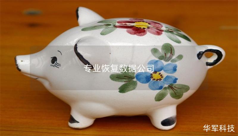 专业恢复数据公司