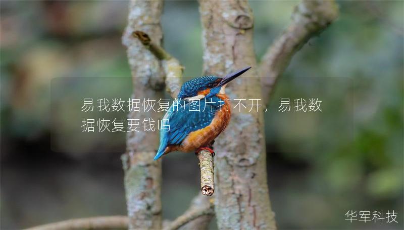 易我数据恢复的图片打不开,易我数据恢复要钱吗 易我数据恢复的图片打不开,易我数据恢复要钱吗