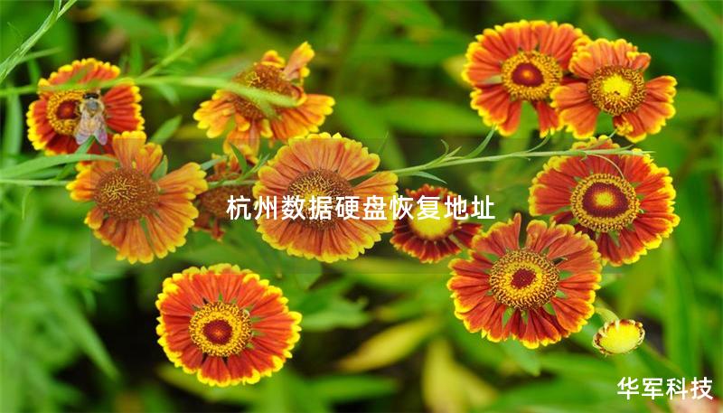 杭州数据硬盘恢复地址