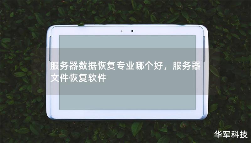 服务器数据恢复专业哪个好,服务器文件恢复软件 服务器数据恢复专业哪个好,服务器文件恢复软件