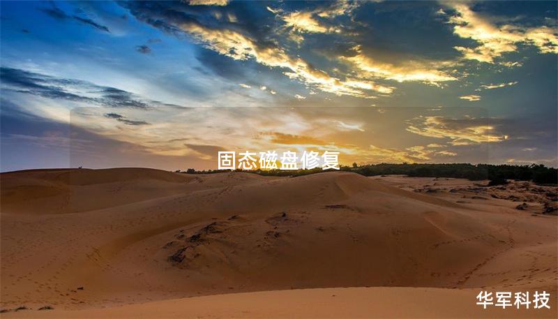 固态磁盘修复 固态磁盘修复