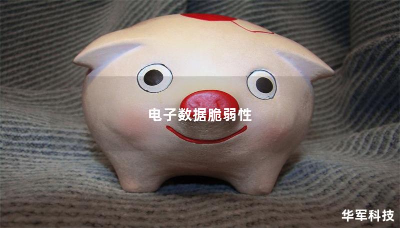 电子数据脆弱性 电子数据脆弱性