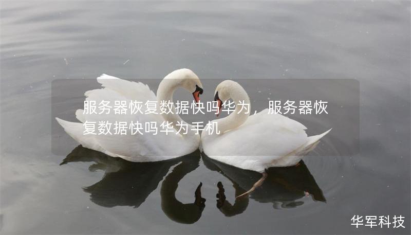 服务器恢复数据快吗华为,服务器恢复数据快吗华为手机 服务器恢复数据快吗华为,服务器恢复数据快吗华为手机
