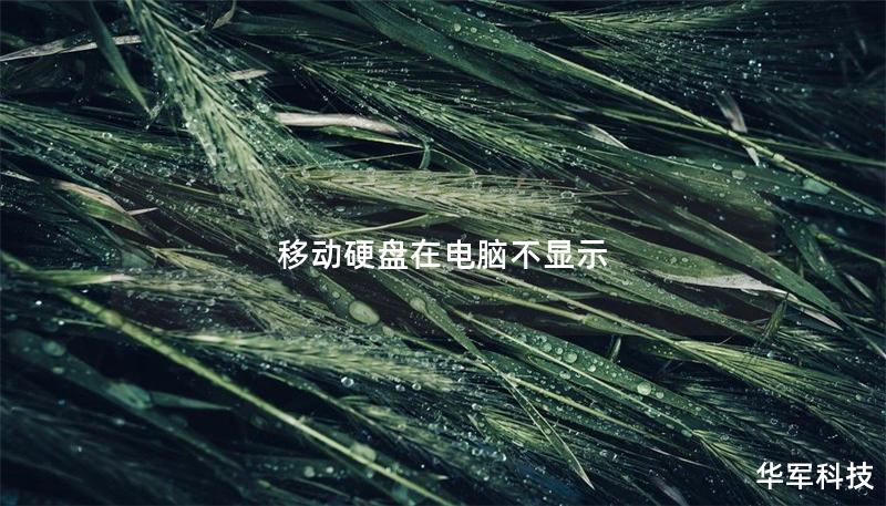 移动硬盘在电脑不显示