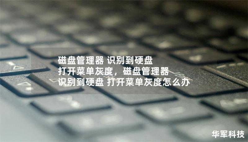 磁盘管理器 识别到硬盘 打开菜单灰度，磁盘管理器 识别到硬盘 打开菜单灰度怎么办