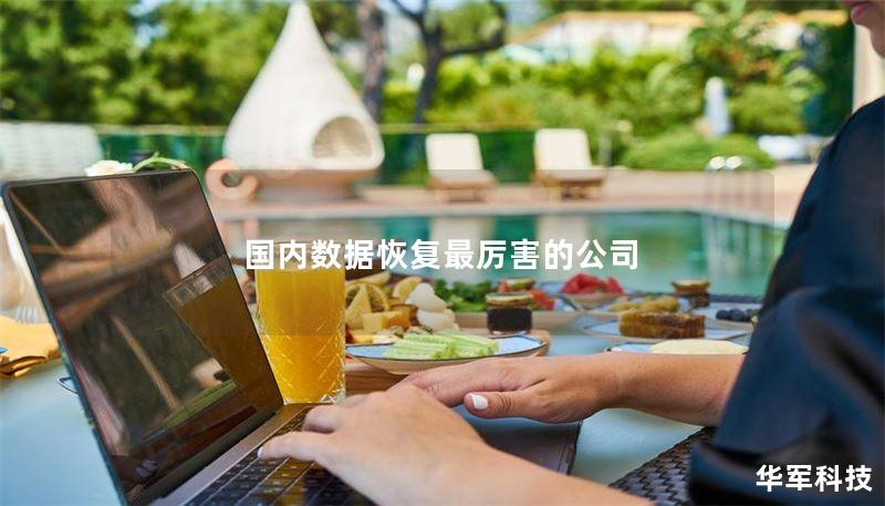 国内数据恢复最厉害的公司