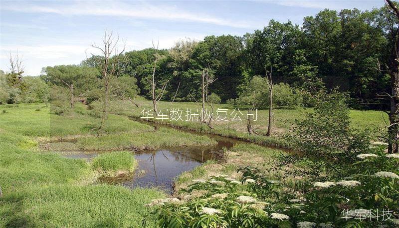 技王数据恢复公司