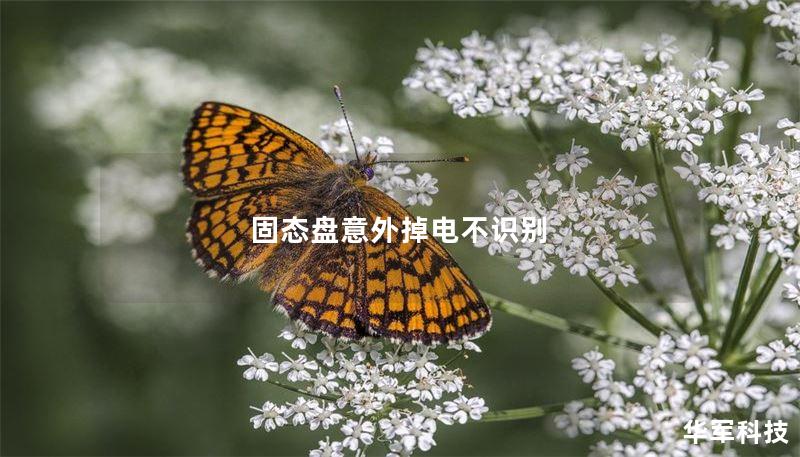 固态盘意外掉电不识别 固态盘意外掉电不识别