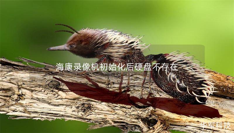 海康录像机初始化后硬盘不存在 海康录像机初始化后硬盘不存在