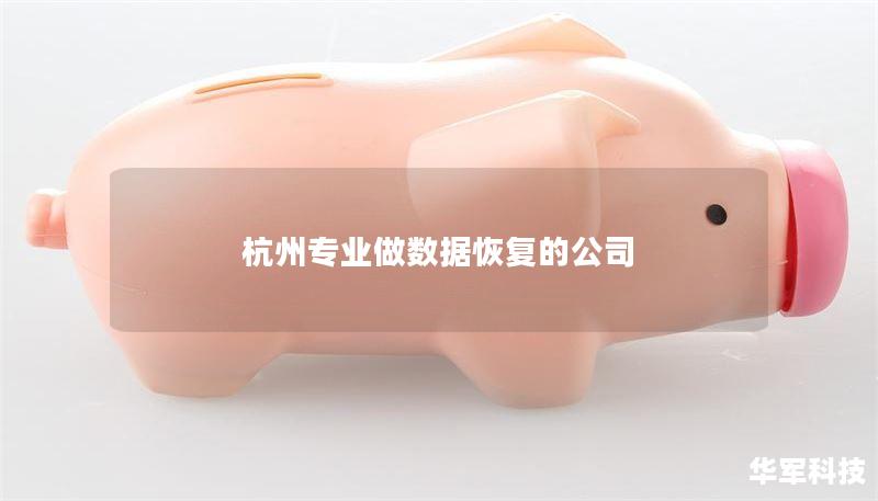 杭州专业做数据恢复的公司