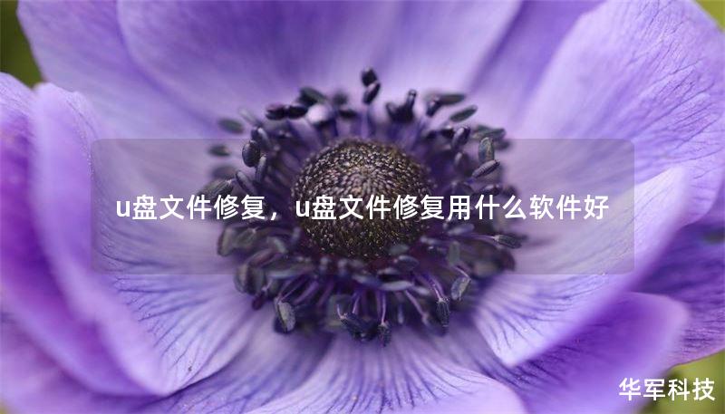 u盘文件修复，u盘文件修复用什么软件好