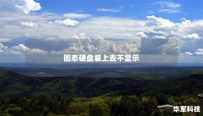 固态硬盘装上去不显示