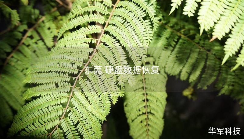 东莞 硬盘数据恢复 东莞 硬盘数据恢复