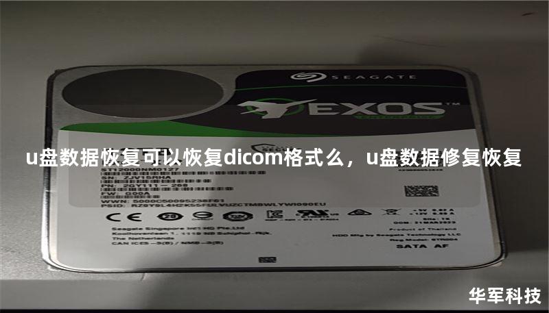 u盘数据恢复可以恢复dicom格式么，u盘数据修复恢复