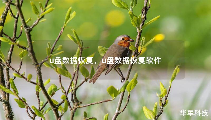 u盘数据恢复，u盘数据恢复软件