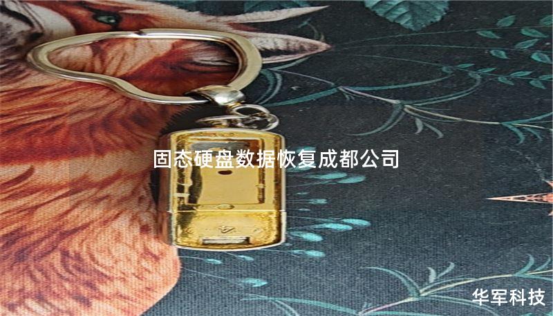 固态硬盘数据恢复成都公司 固态硬盘数据恢复成都公司