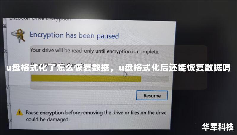 u盘格式化了怎么恢复数据，u盘格式化后还能恢复数据吗