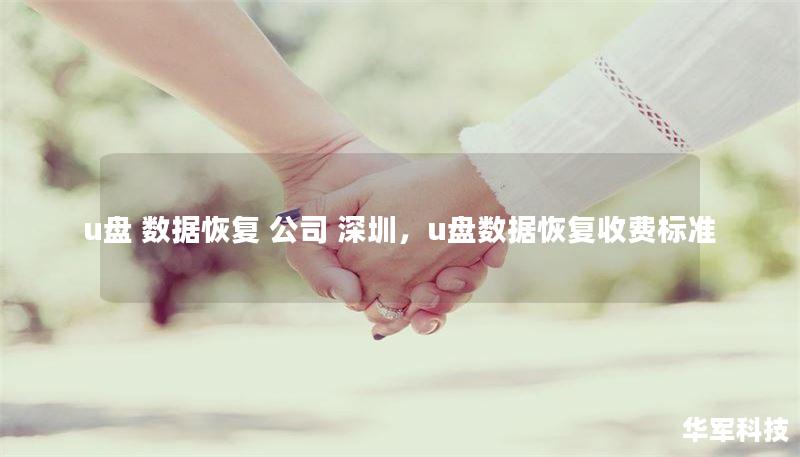 u盘 数据恢复 公司 深圳，u盘数据恢复收费标准