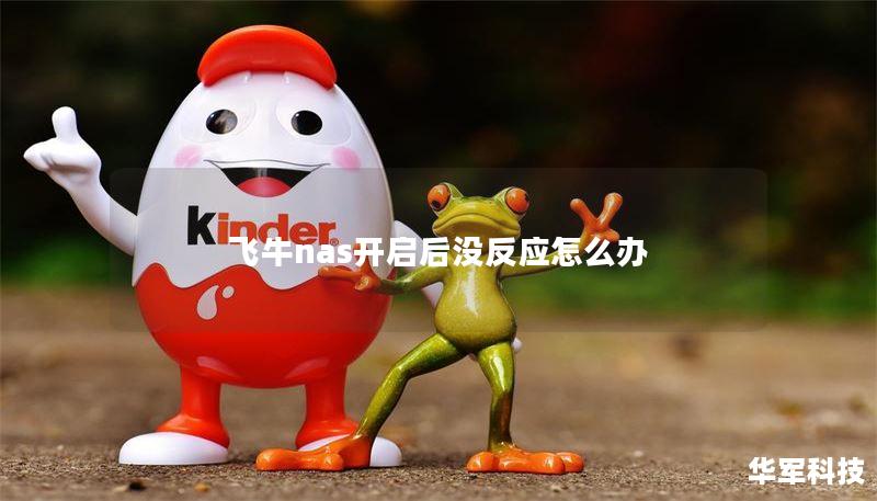 飞牛nas开启后没反应怎么办