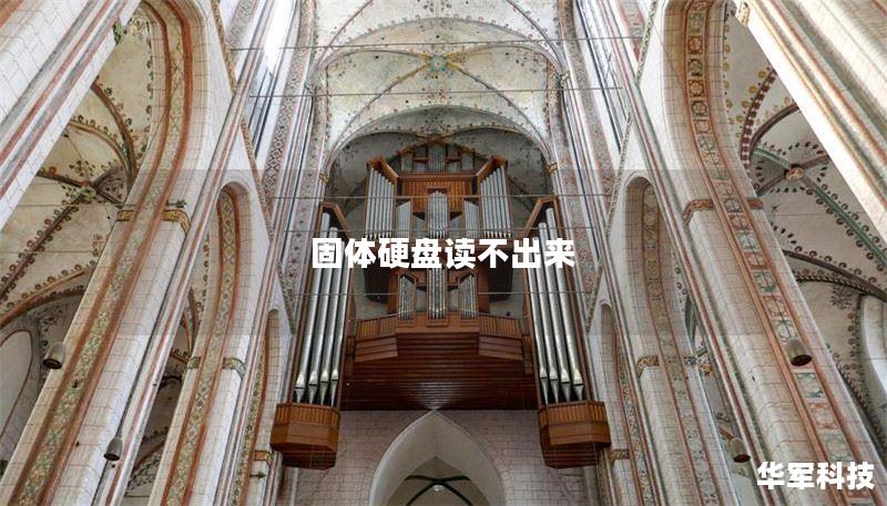 固体硬盘读不出来