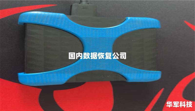 国内数据恢复公司