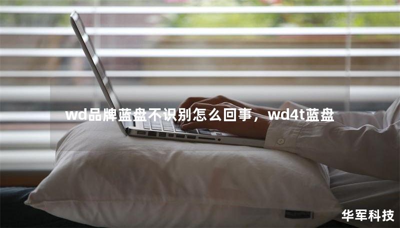 wd品牌蓝盘不识别怎么回事，wd4t蓝盘