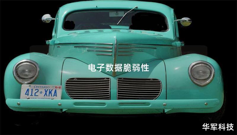 电子数据脆弱性