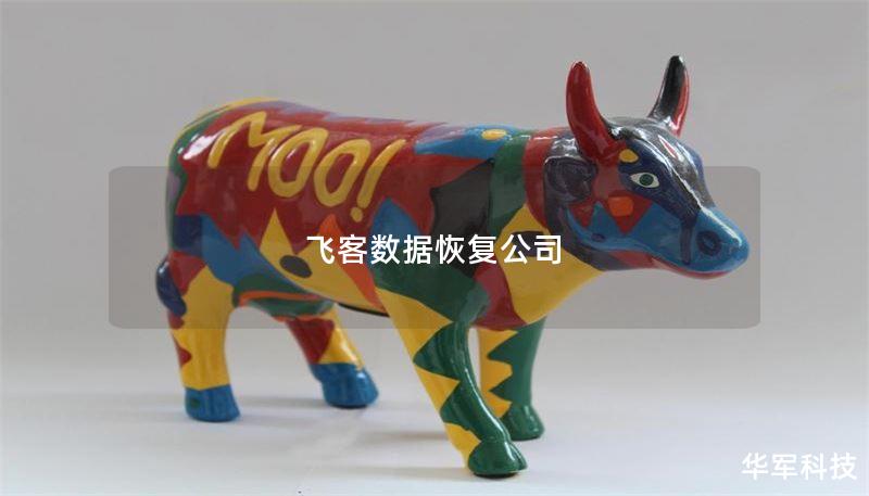 飞客数据恢复公司