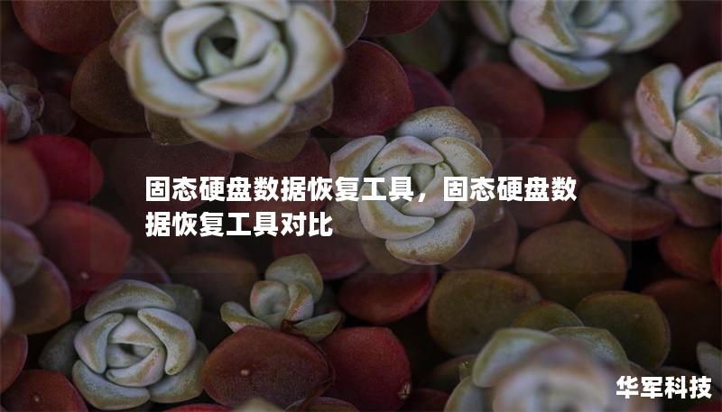 固态硬盘数据恢复工具,固态硬盘数据恢复工具对比 固态硬盘数据恢复工具,固态硬盘数据恢复工具对比