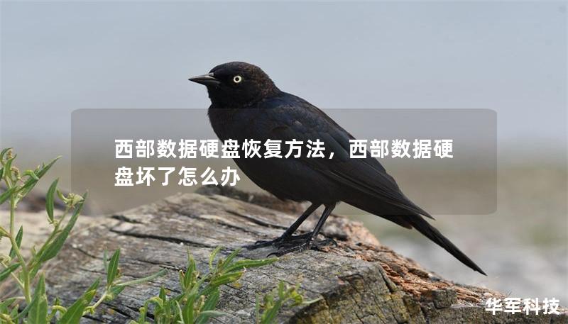 西部数据硬盘恢复方法，西部数据硬盘坏了怎么办