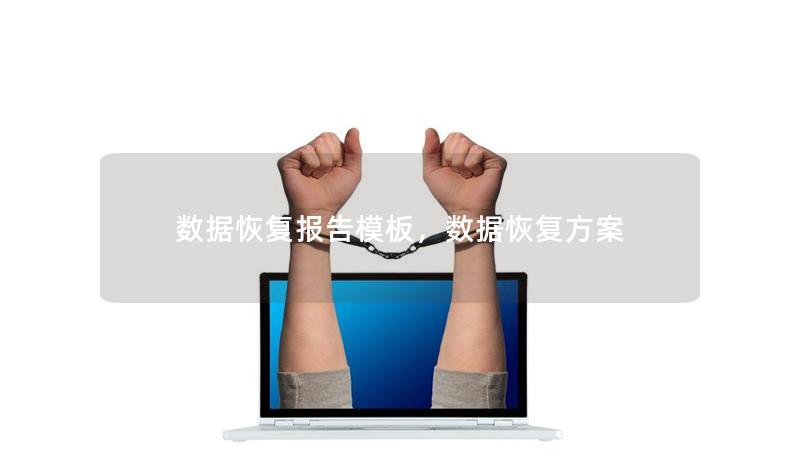 数据恢复报告模板，数据恢复方案