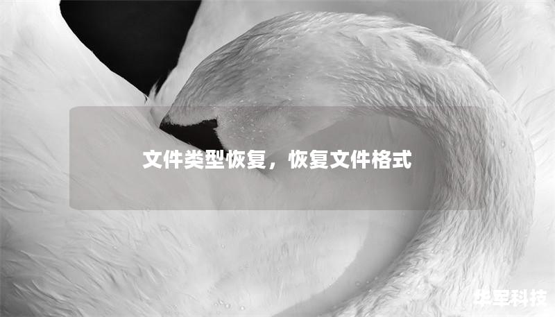 文件类型恢复，恢复文件格式