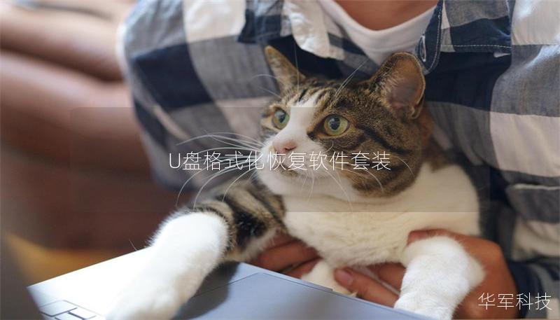 U盘格式化恢复软件套装