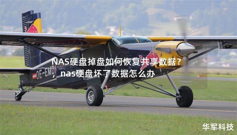 NAS硬盘掉盘如何恢复共享数据？，nas硬盘坏了数据怎么办