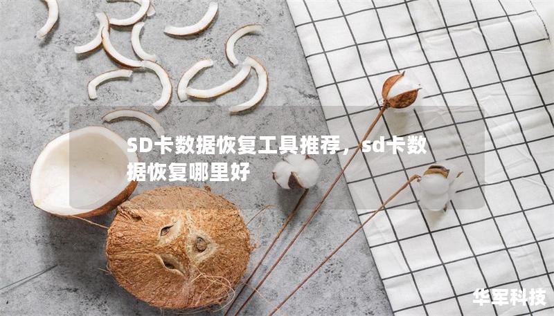 SD卡数据恢复工具推荐,sd卡数据恢复哪里好 SD卡数据恢复工具推荐,sd卡数据恢复哪里好
