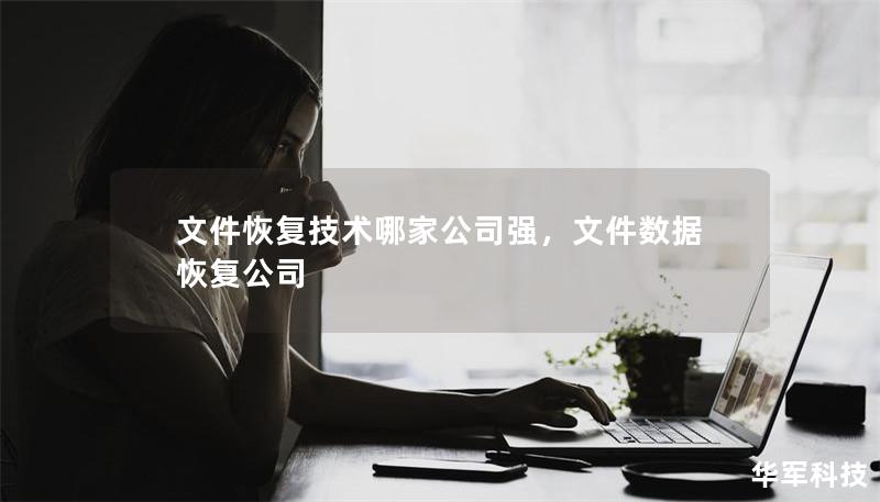 文件恢复技术哪家公司强，文件数据恢复公司