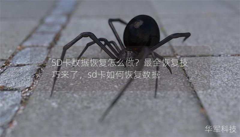 SD卡数据恢复怎么做?最全恢复技巧来了,sd卡如何恢复数据 SD卡数据恢复怎么做?最全恢复技巧来了,sd卡如何恢复数据