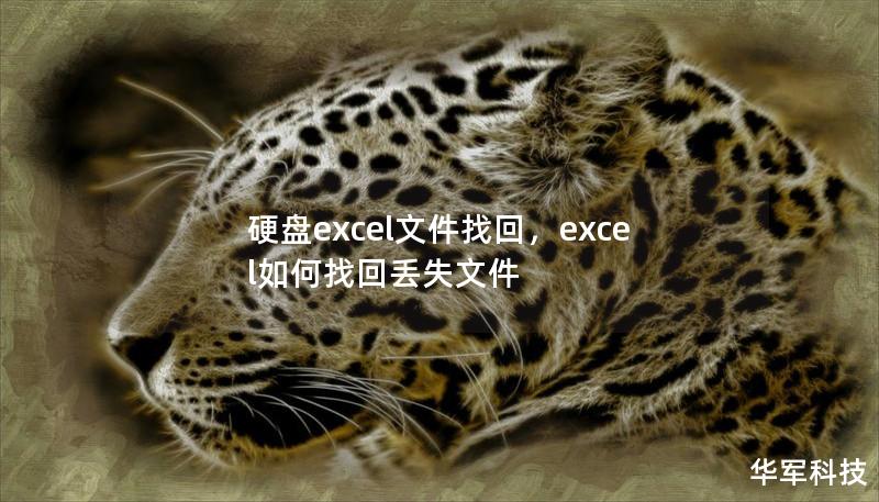 硬盘excel文件找回，excel如何找回丢失文件
