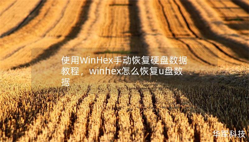 使用WinHex手动恢复硬盘数据教程，winhex怎么恢复u盘数据