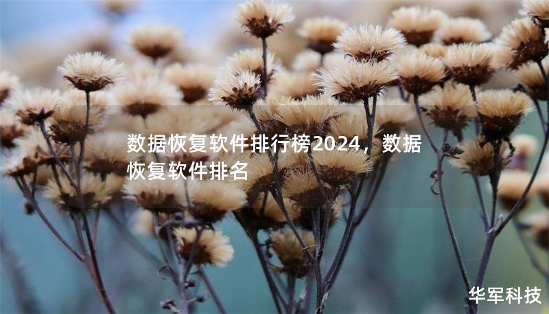 数据恢复软件排行榜2024，数据恢复软件排名