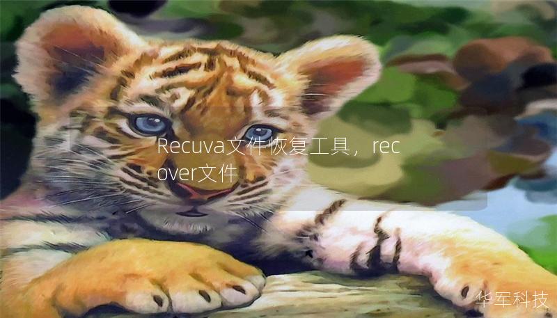 Recuva文件恢复工具,recover文件 Recuva文件恢复工具,recover文件