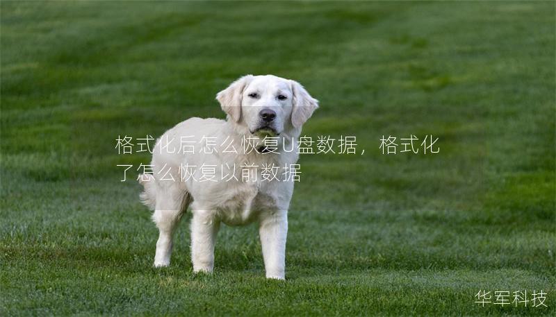 格式化后怎么恢复U盘数据，格式化了怎么恢复以前数据